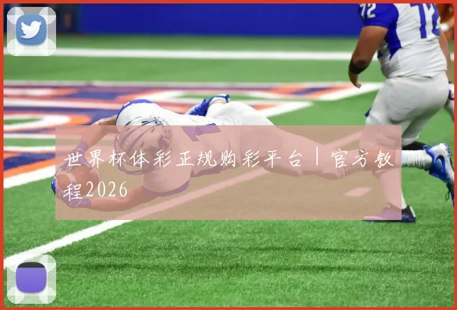 世界杯体彩正规购彩平台｜官方教程2026