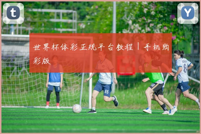 世界杯体彩正规平台教程｜手机购彩版