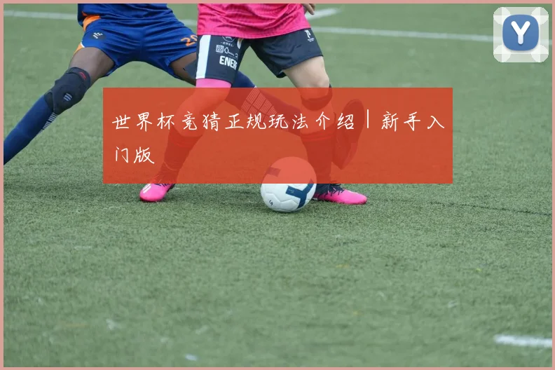 世界杯竞猜正规玩法介绍｜新手入门版