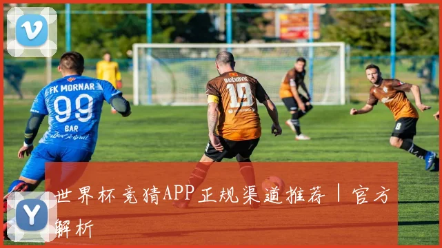 世界杯竞猜APP正规渠道推荐｜官方解析