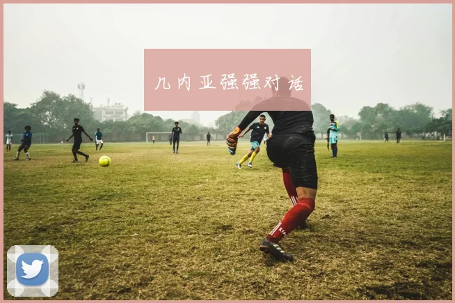 几内亚强强对话