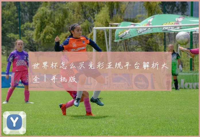 世界杯怎么买竞彩正规平台解析大全｜手机版